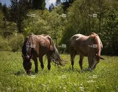 爱游戏-关于q骘(嬷D拣Lh殘?穳P脼uF?睋